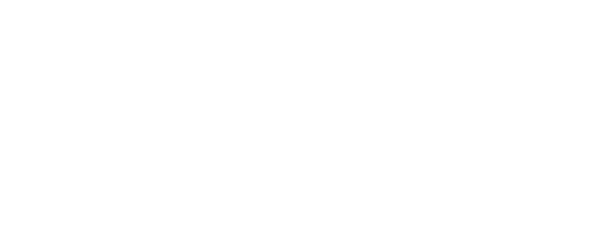 Silva Cars